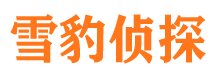 自流井侦探